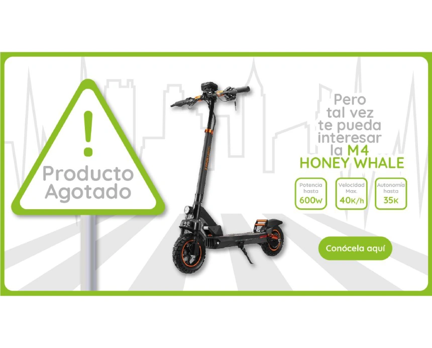 Producto Agotado - Conoce la Honey Whale GT1 Mini