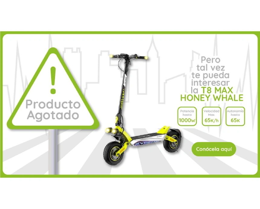 Producto Agotado - Conoce la Honey Whale GT1 Mini