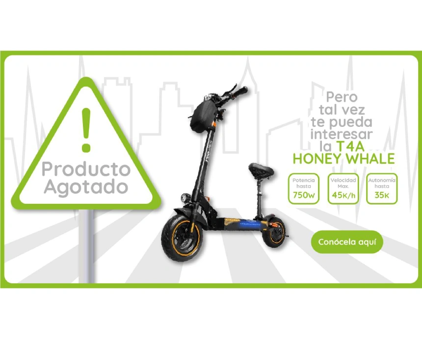 Producto Agotado - Conoce la Honey Whale GT1 Mini
