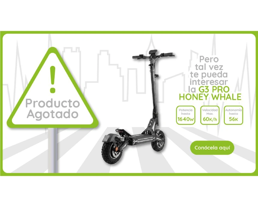 Producto Agotado - Conoce la Honey Whale GT1 Mini