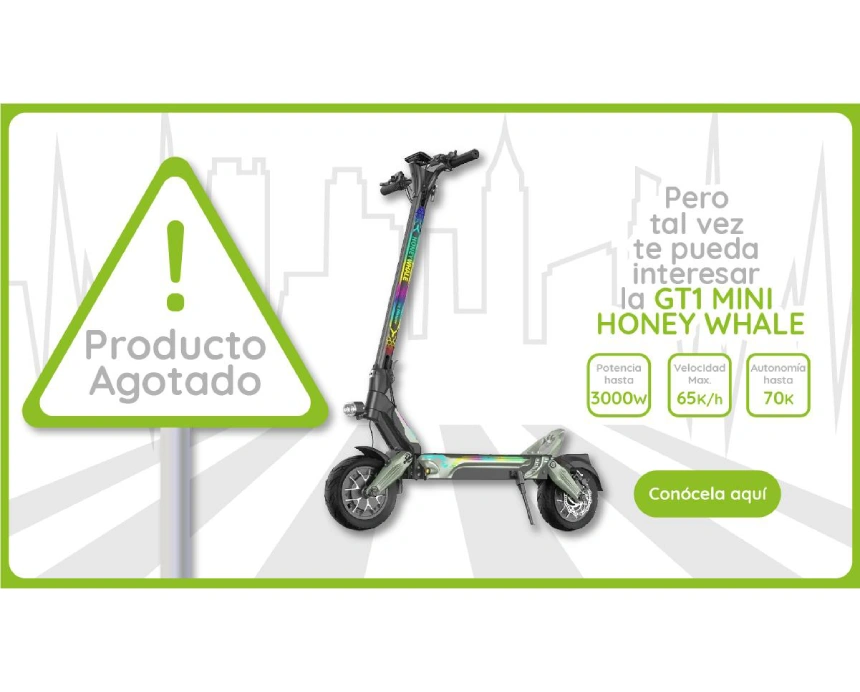 Producto Agotado - Conoce la Honey Whale GT1 Mini